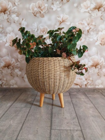 07cc45a7-da80-11f0-891e-246e9611e8f6-1