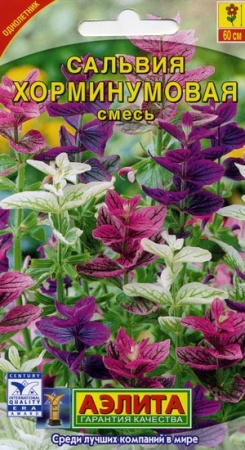 9b4cff6d-dcea-11dd-9138-00500454e615-2