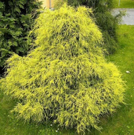 3d242183-1aac-11e7-af54-001e673ebdea-1