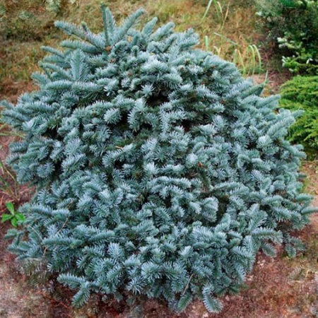 58dae02e-d4cc-11f0-891e-246e9611e8f6-1