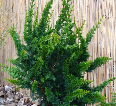 b79b2207-3a53-11e8-a7ea-005056c00008-1