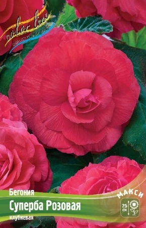 e3174392-b448-11ee-8bd7-001e673ebdea-1