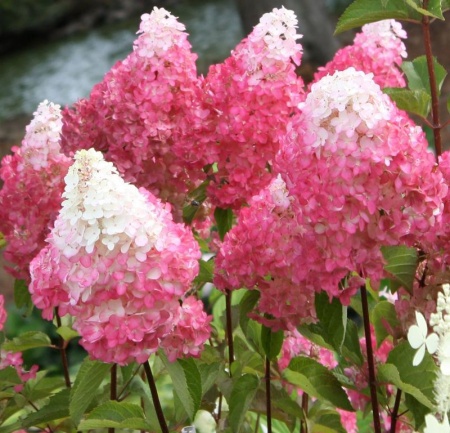 26d09e8e-c15a-11f0-891d-246e9611e8f7-1