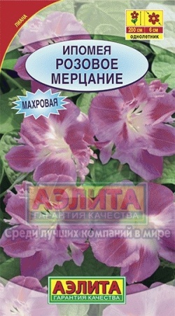 baa6dab5-47cf-11e1-82d8-00500454e615-2