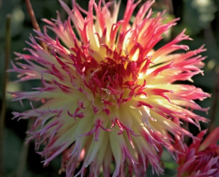 f46f6fe4-2ea6-11e0-9fb4-00500454e615-1