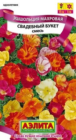 dd236eb8-466a-11df-84eb-002354cb09e1-2