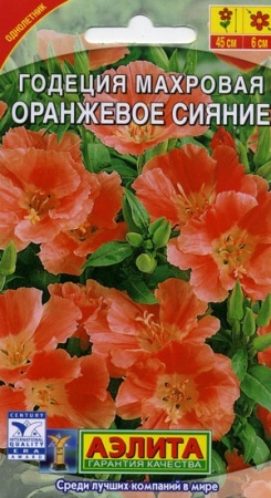 70f41b5d-dcea-11dd-9138-00500454e615-2