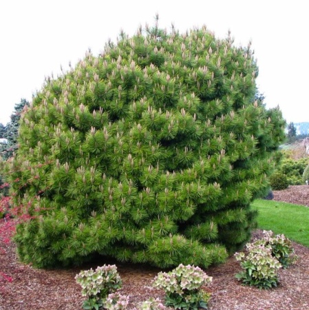 1fe7f2d4-cfb1-11e4-9bdf-001e673ebdea-1