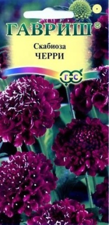 38e29520-419f-11e0-a4e9-00500454e615-2