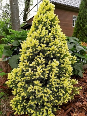 6e1467a5-c128-11ef-8915-246e9611e8f5-1