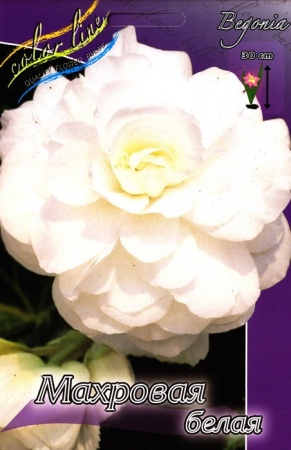 2cf5c7ab-3740-11eb-b90a-005056c00008-1