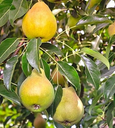 83b7dbf7-be11-11f0-891d-246e9611e8f7-1