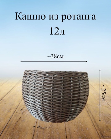 62123bde-d667-11f0-891e-246e9611e8f6-3