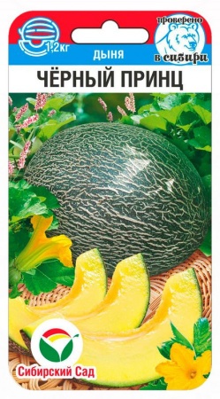 e26a98a8-5819-11f0-891a-246e9611e8f6-1