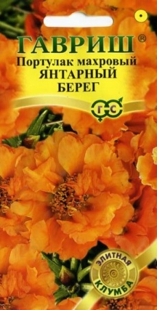 21433db7-c797-11de-87ae-0019dbe91ea3-2