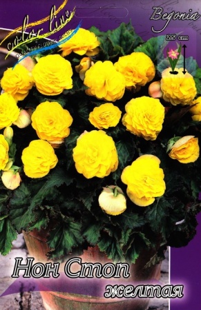 baf70342-b449-11ee-8bd7-001e673ebdea-1