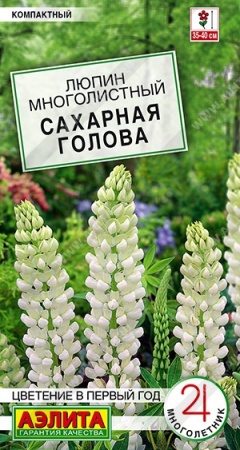 036c20a4-0b3c-11ec-a8a4-005056c00008-1