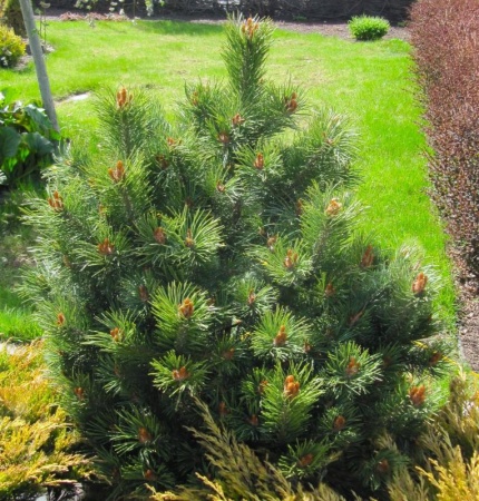 8902e304-d764-11f0-891e-246e9611e8f6-1