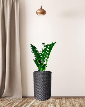 b4accc31-df0d-11f0-891e-246e9611e8f6-1