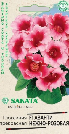 6e79e0ff-0acb-11e2-9c64-00500454e615-1