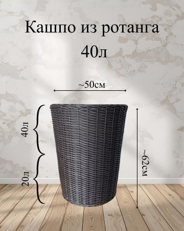 ea128afe-df16-11f0-891e-246e9611e8f6-4