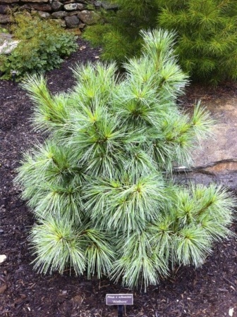 d72263dc-e683-11ee-890a-246e9611e8f5-1