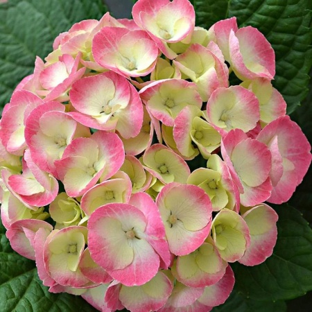 01d24cd2-c475-11f0-891d-246e9611e8f7-1