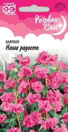 7d524c51-dcea-11dd-9138-00500454e615-1