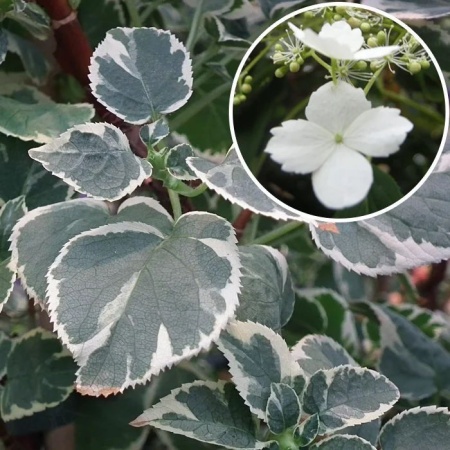 e511e29c-c16b-11f0-891d-246e9611e8f7-1