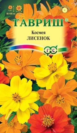 7d524d2f-dcea-11dd-9138-00500454e615-1