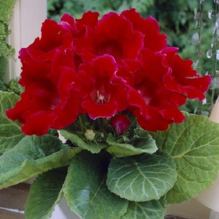 d85418a5-3740-11eb-b90a-005056c00008-2