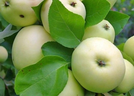 173096cf-cc0f-11ef-8915-246e9611e8f5-1