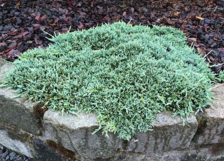 2f7c9e48-f33b-11e5-9ba7-001e673ebdea-1