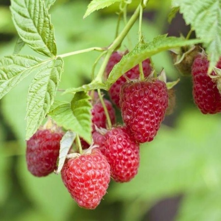 3a386cb0-d33b-11ef-8915-246e9611e8f5-1