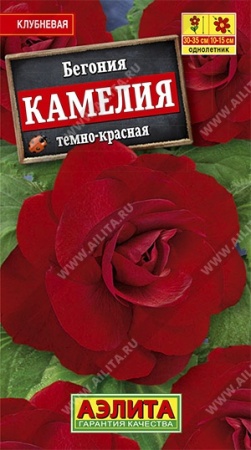 56ea040d-65e8-11e2-9b29-00500454e615-1