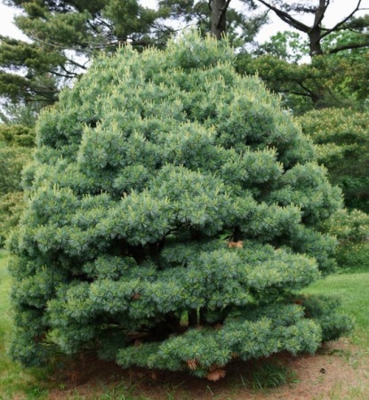 bb104568-d503-11f0-891e-246e9611e8f6-1