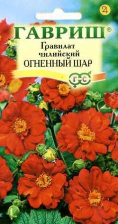 70f41be2-dcea-11dd-9138-00500454e615-2