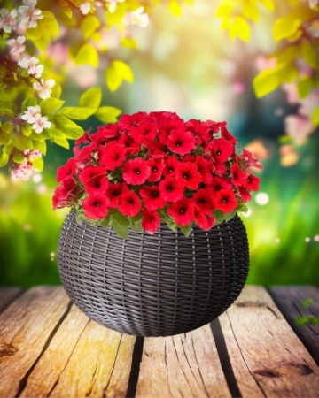 6aa2fa9c-da85-11f0-891e-246e9611e8f6-1