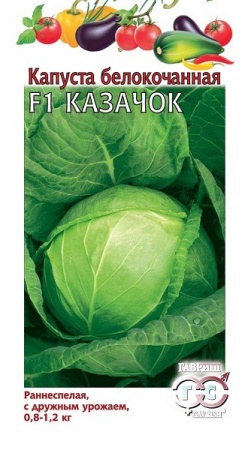 b2a346c4-a376-11e8-9ac1-005056c00008-1