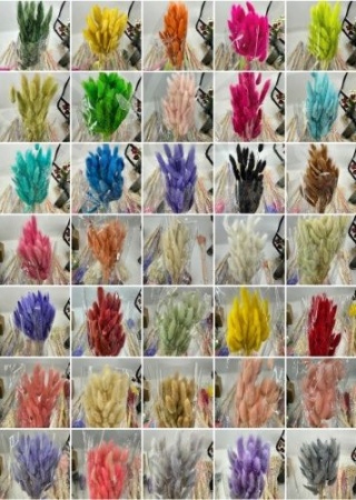 8a130539-9cfe-11ef-8912-246e9611e8f7-1