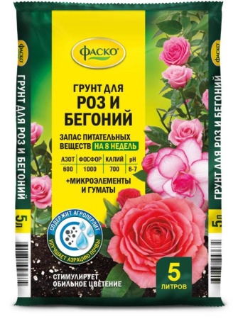 388j745qku8n1byziiiwyfgyst4h4icp