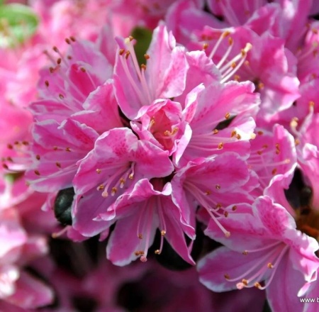 de7df68f-43a4-11e8-8910-005056c00008-1