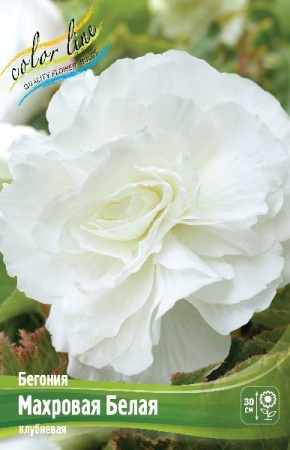 2cf5c7ab-3740-11eb-b90a-005056c00008-1