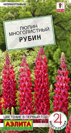 c8eace68-0b3b-11ec-a8a4-005056c00008-1