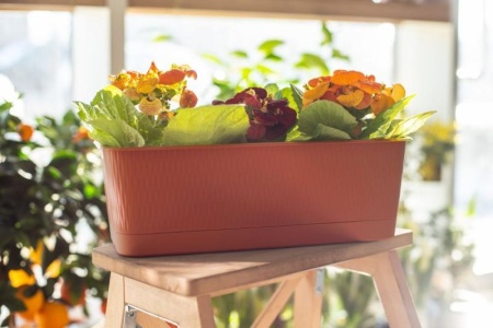 16bfd38a-a6c5-11ed-8508-001e673ebdea-1