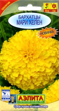 d1c2180a-f347-11dd-867d-0019dbe91ea3-2