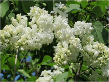 44c9fbe6-2f8f-11ef-890e-246e9611e8f7-1