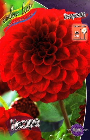 20c3edea-2240-11e0-9fb4-00500454e615-1