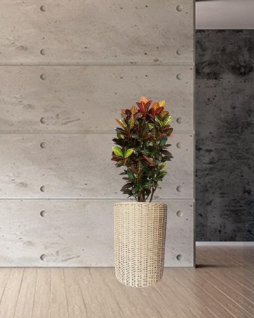 62458cde-df0d-11f0-891e-246e9611e8f6-1