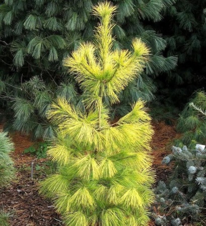 21f57705-d4ff-11f0-891e-246e9611e8f6-1